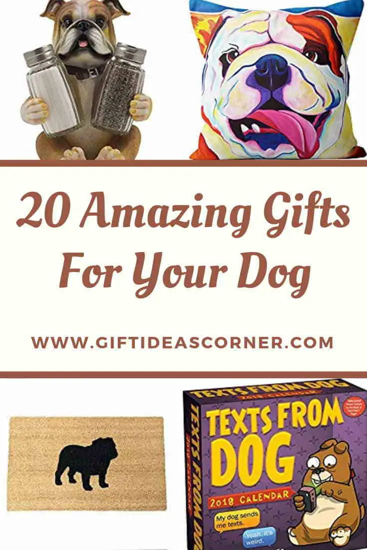 20 Amazing Gifts for Your Dog