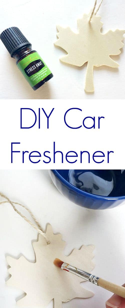Homemade Car Air Freshener