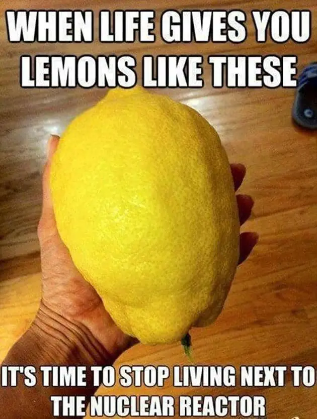 Life and Lemons