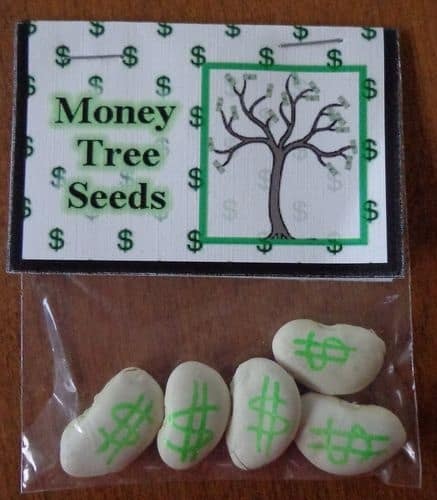 Money Tree Seeds
