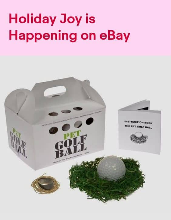 50+ Best Gag Gifts Ideas For Christmas 2022-2023[Updated]