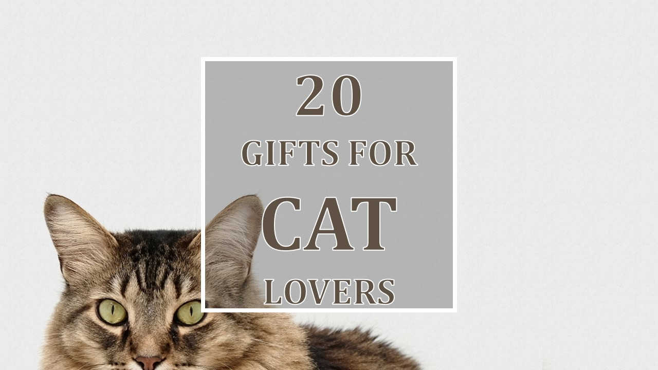 gifts for cat lovers feature