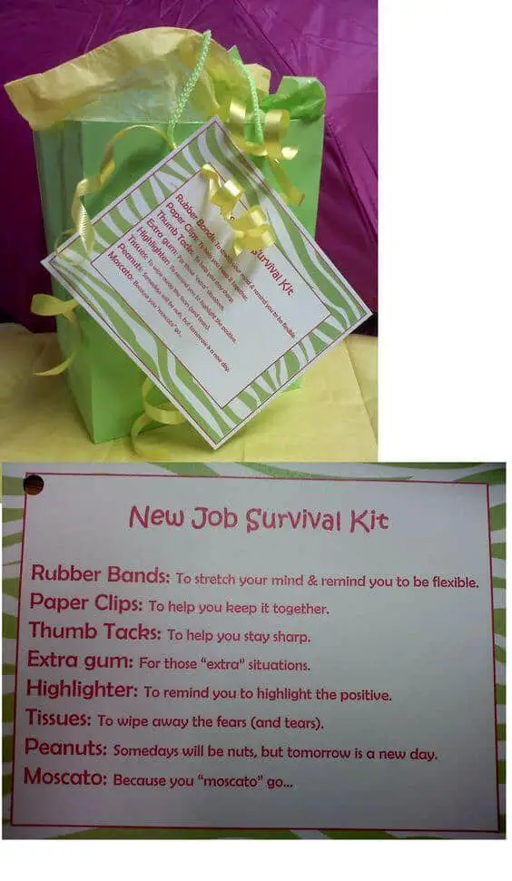New Job Survival Kit