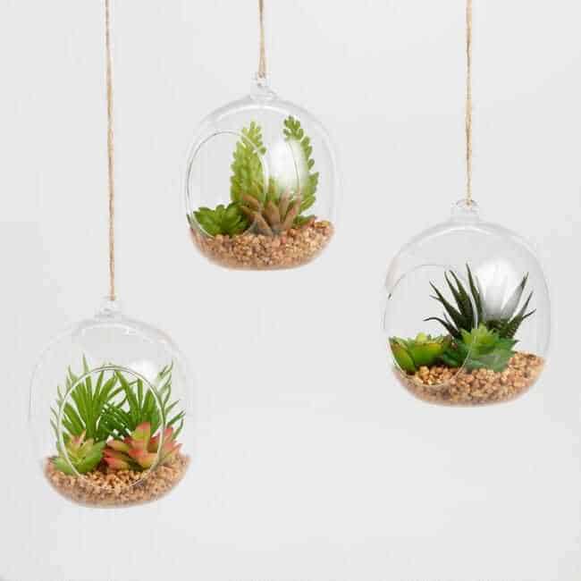 Glass Globes with Faux Succulent