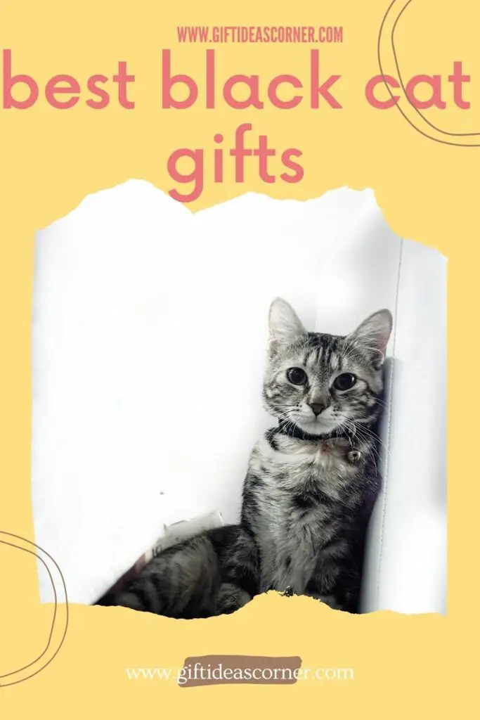 If you have a black cat friend, then this list of gifts is perfect for them. Whether it's jewelry or fun things to do with your feline buddy, here are some ideas that will make their day!  #best black cat gifts
