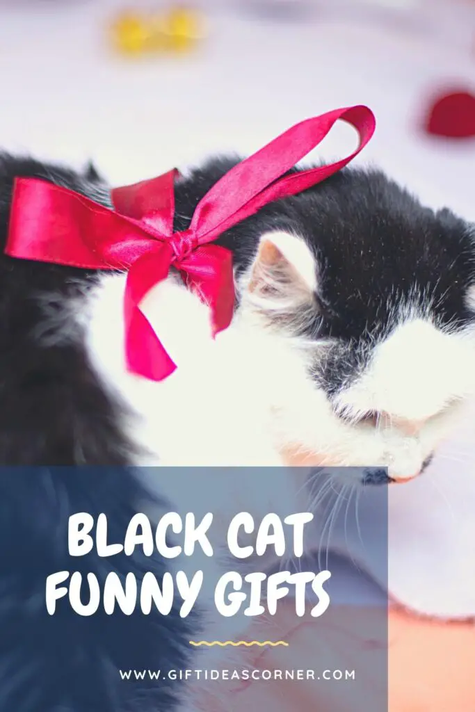 The world may not be ready for a black cat in the White House but we're more than happy to help you with your gift shopping. Here are our top picks of gifts that any self-respecting feline would love. From jewelry and home decor to clothing, these gifts will make anyone's day brighter! Meowrry Christmas! #black cat funny gifts
