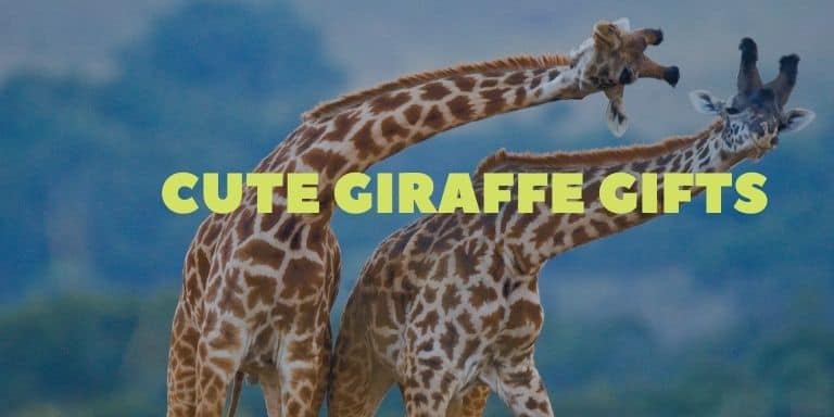 cute giraffe gifts