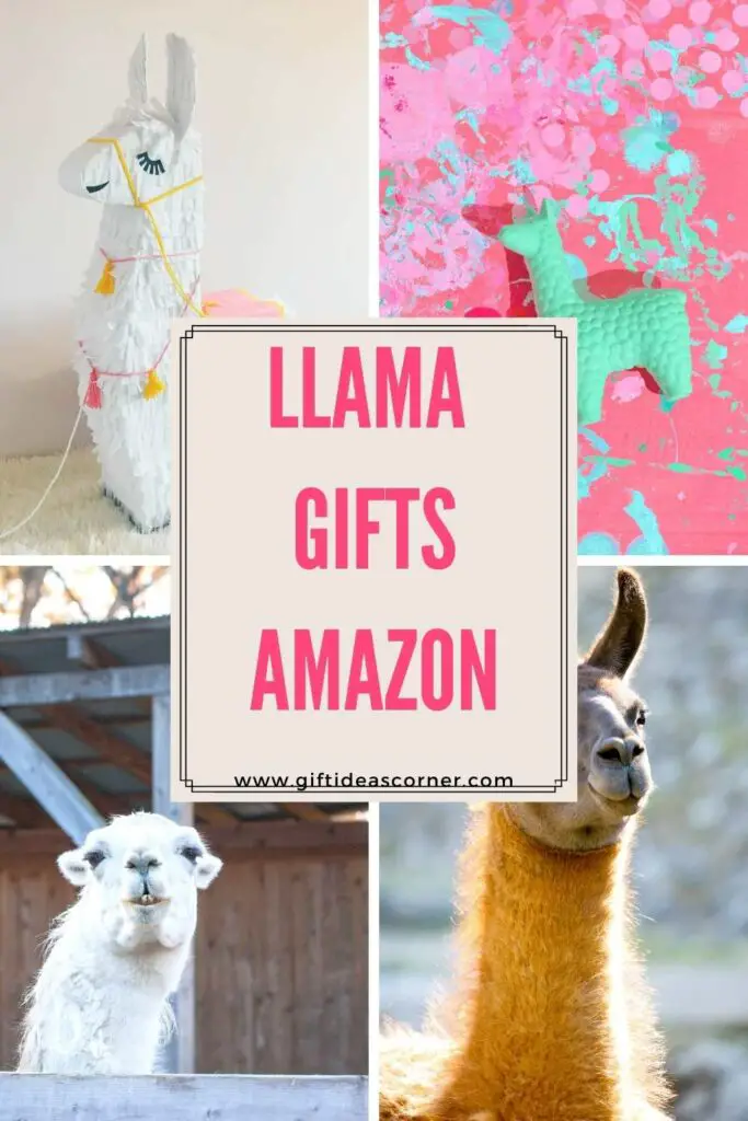 We all know that llamas are supreme rulers of the world, but did you know they have a lot to offer as gifts? Check out our list of amazing gift ideas for your favorite Llama-loving friend. #llama gifts amazon
