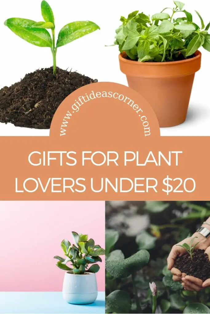 Give the gift of plants to your green thumb-having loved ones with these fantastic gifts. There's something here for everyone, and they can all be found on Amazon! #gifts for plant lovers under $20
