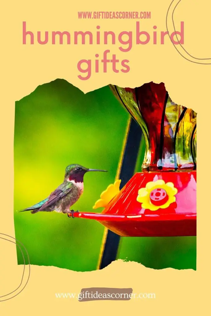 Your hummingbird lover is counting the days until they can get their hands on one of these wonderful gifts. From food to a shower curtain, this list has it all! Be sure to check out which items are available at Amazon Prime and have them shipped in time for Christmas morning!  #hummingbird gifts
