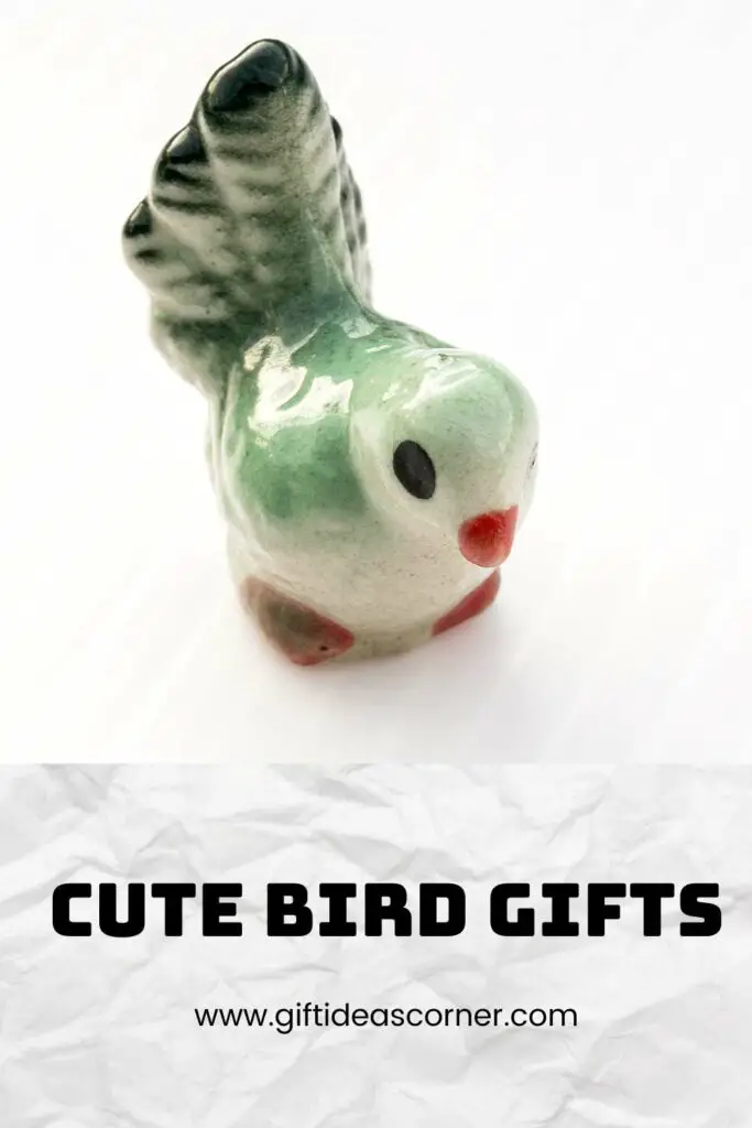Presents are always a little tricky to find. But, this list of gifts is perfect for those bird lovers in your life. Turn the family room into an aviary with these DIY tips and ideas. Who needs more socks? Think outside the box when it comes to holiday shopping! #cute bird gifts
