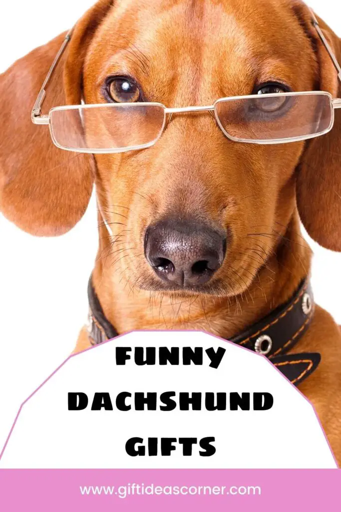 You're in luck! You've found a one-stop shop of all things dachshund. From funny pajamas to toys, you'll find it here. We have gifts and gear for every occasion so that no matter what kind of doxielover you are - whether your pup is big or small, young or old - we will always have something special just for them. All products come with free shipping on orders over $50 (US). Happy shopping! #funny dachshund gifts
