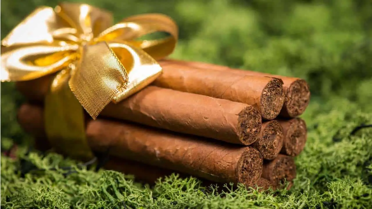 cigar gifts