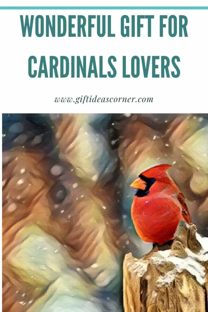 30 wonderful gift ideas for Cardinals Lovers